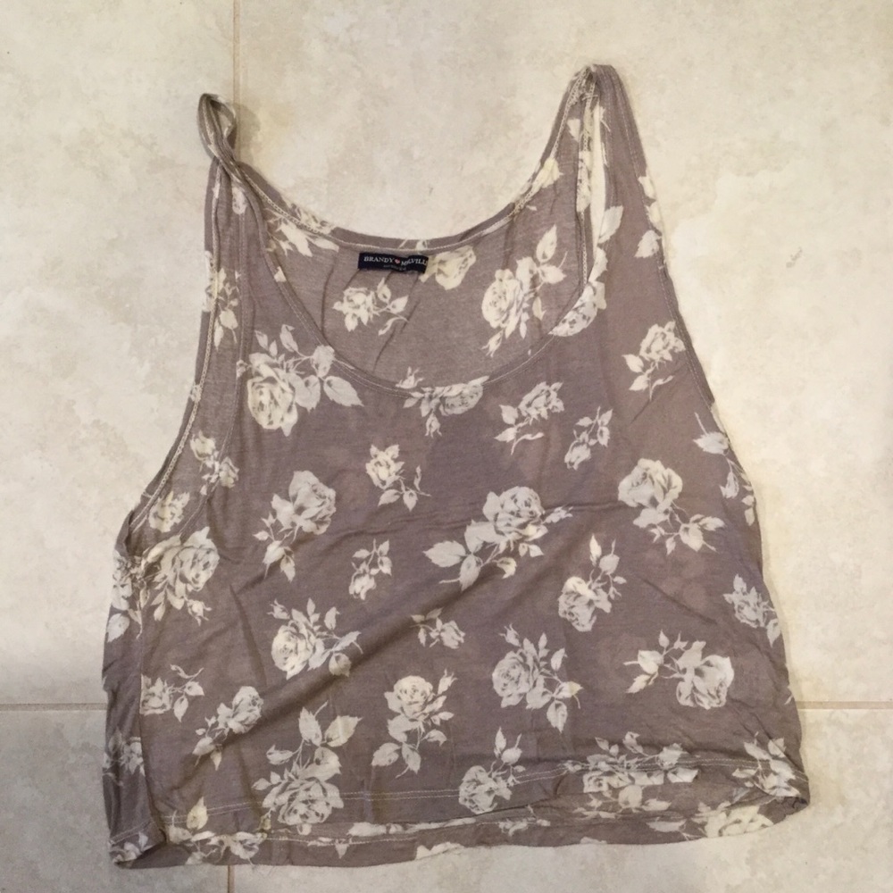 Brandy Melville Crop Top